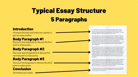 how many paragraphs does an essay need in terms of structure and length?