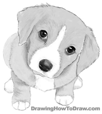 how to draw a dog sketch how to effectively communicate emotions through your drawings